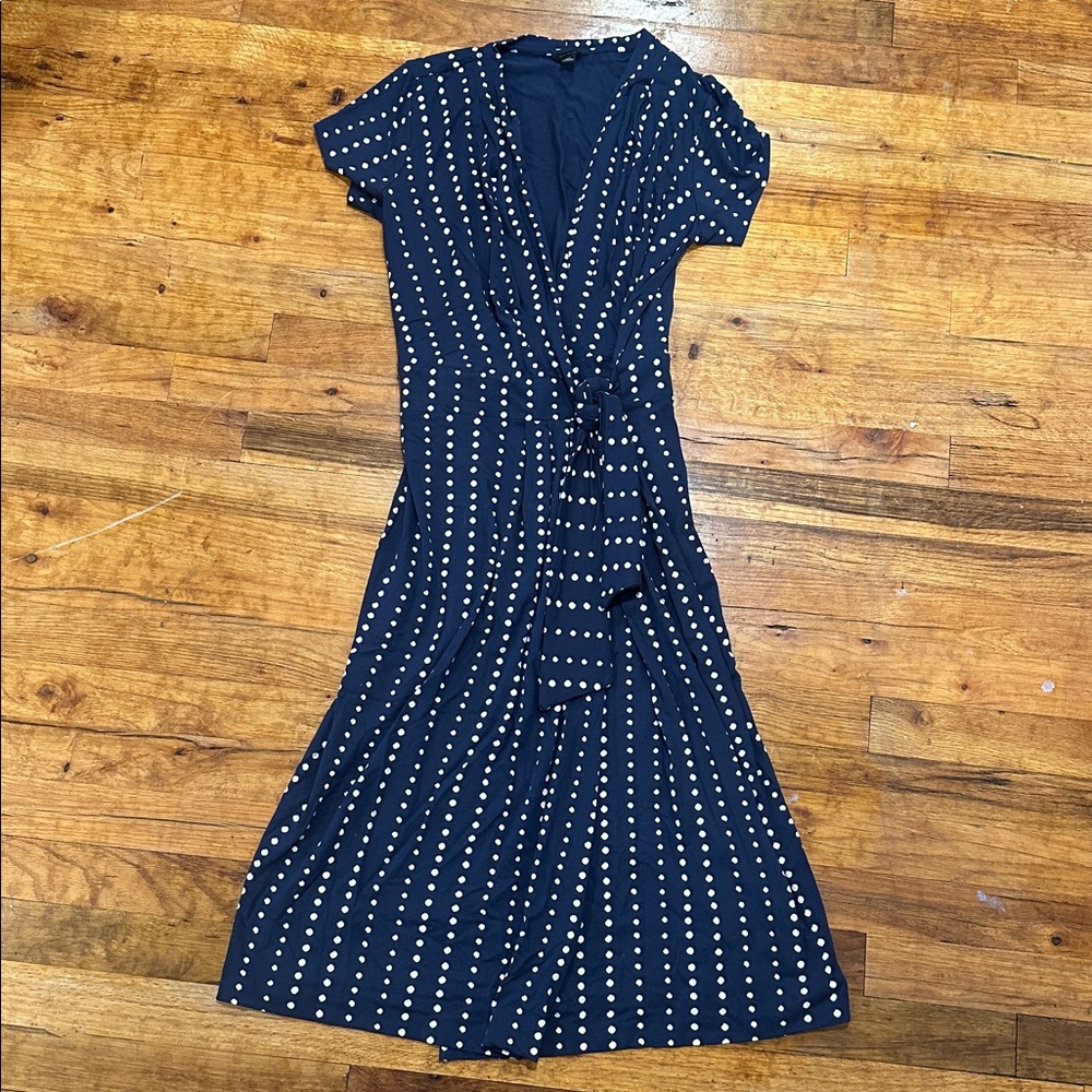 Ann Taylor Blue Polka Dot Wrap Dress - Picture 7 of 12